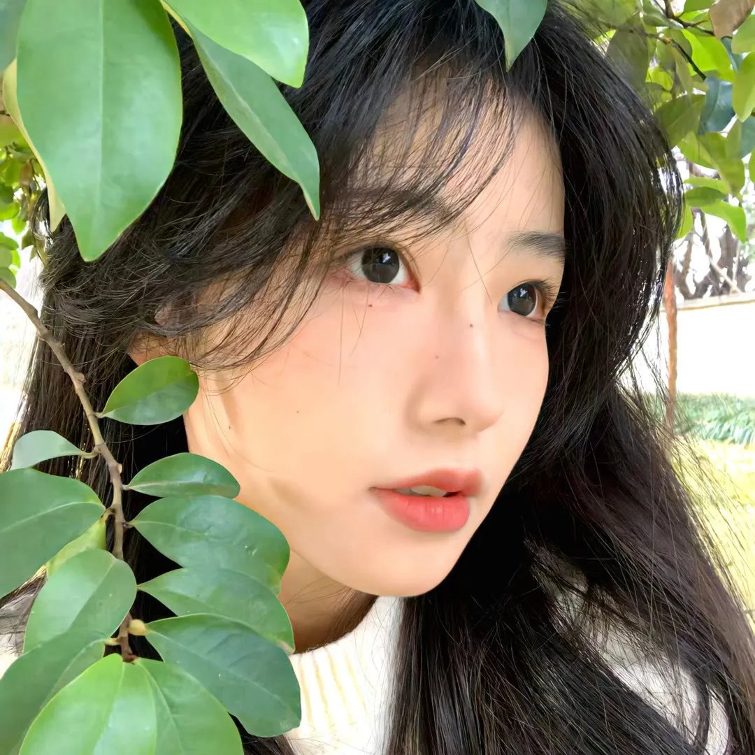 拼尽全力去爱你